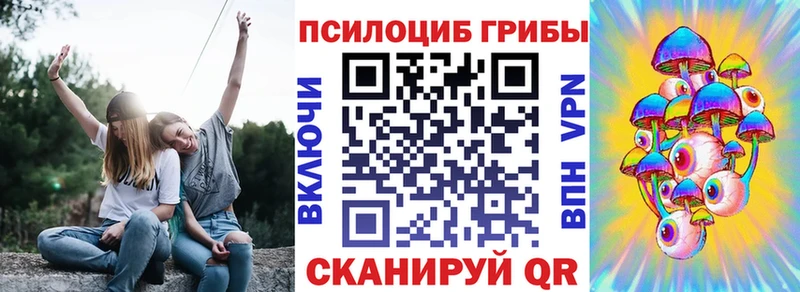 Галлюциногенные грибы Cubensis  omg сайт  Княгинино 